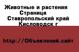  Животные и растения - Страница 10 . Ставропольский край,Кисловодск г.